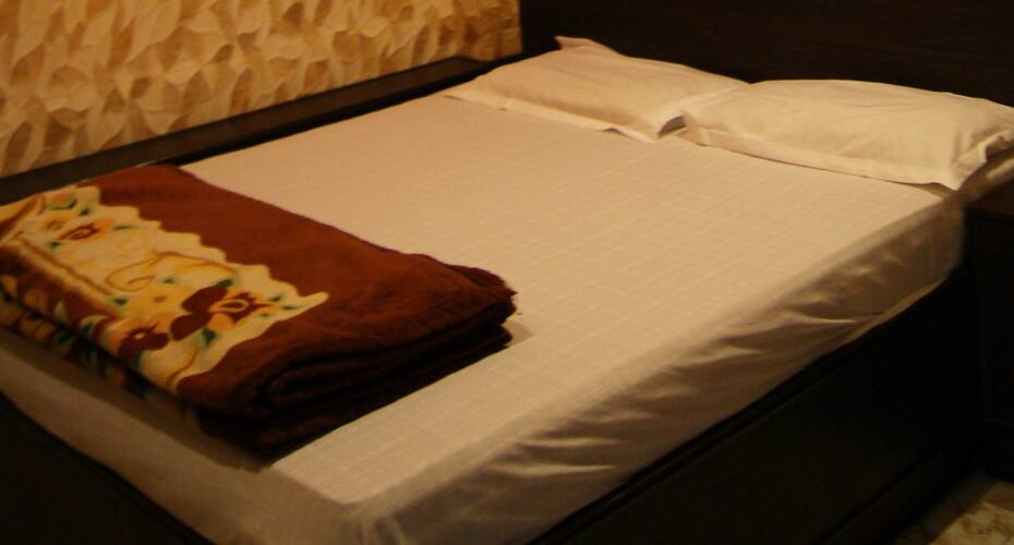 Hotel Chetak Palace, New Delhi 2